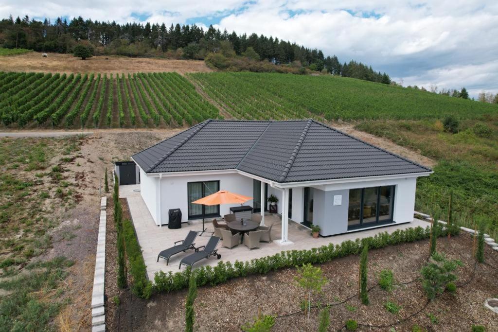 Neu - Premium-Ferienhaus Mosel-Sonne Traben-Trarbach Zewnętrze zdjęcie