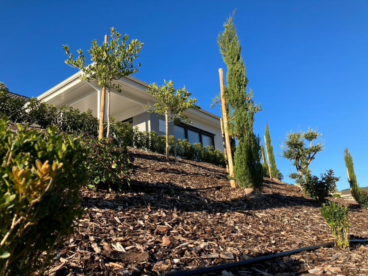 Neu - Premium-Ferienhaus Mosel-Sonne Traben-Trarbach Zewnętrze zdjęcie